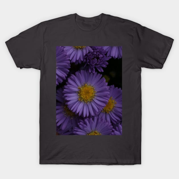 Aster in violett T-Shirt by OVP Art&Design